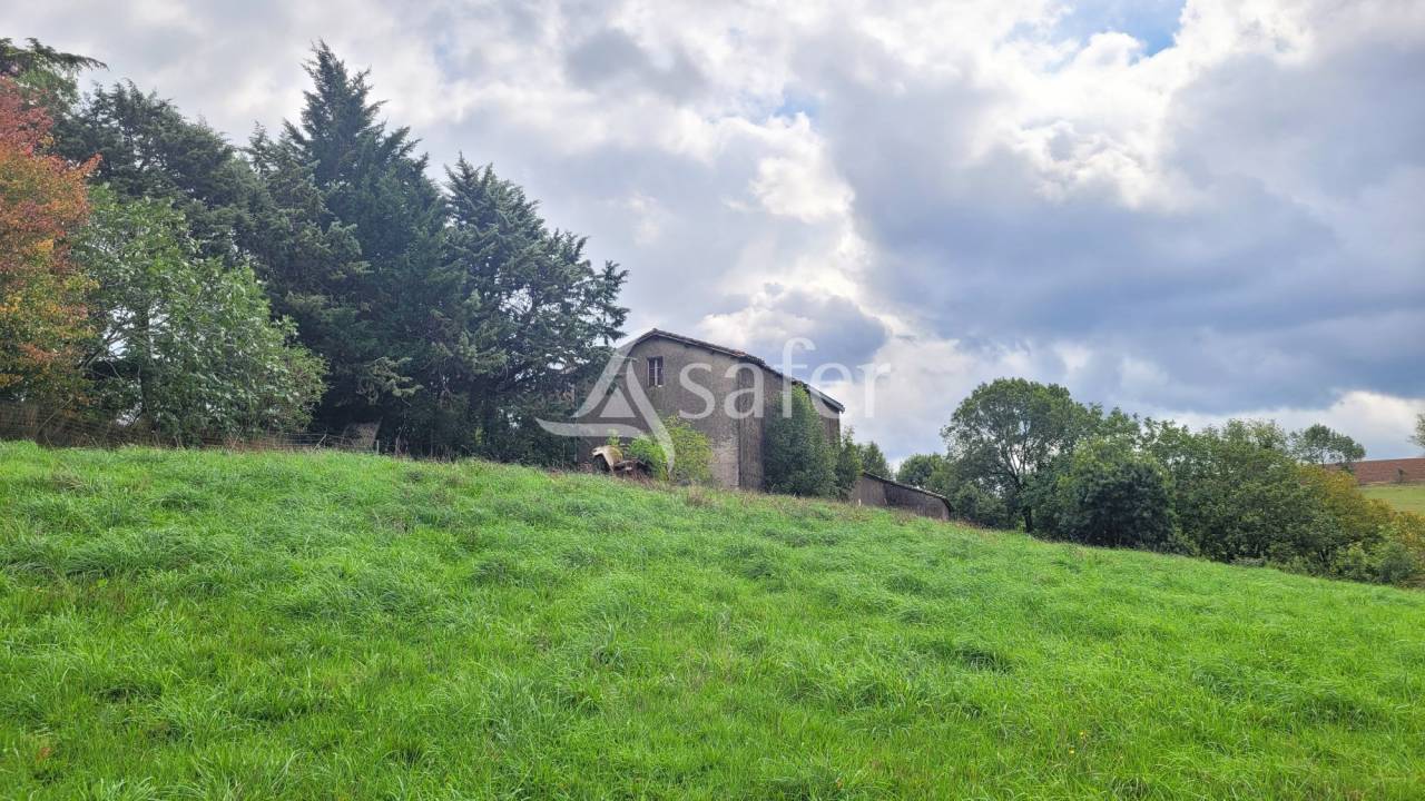 Ander plattelands vastgoed Koop tarn