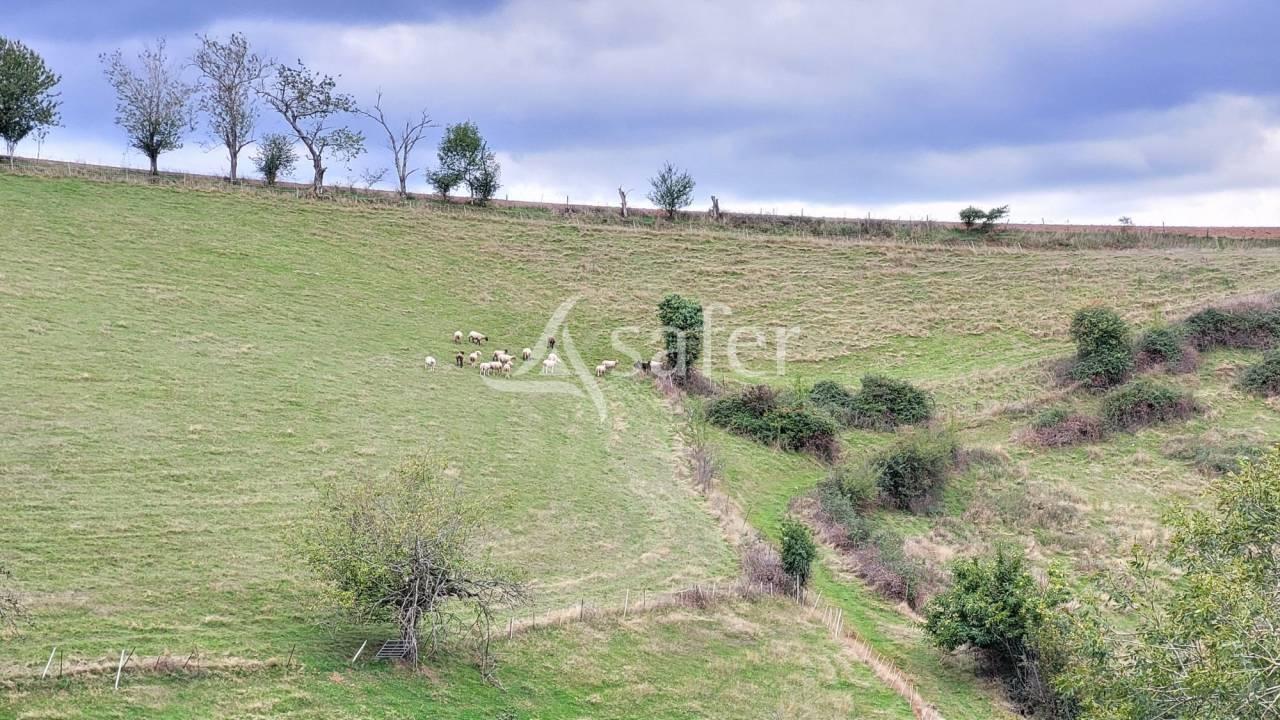 Ander plattelands vastgoed Koop tarn