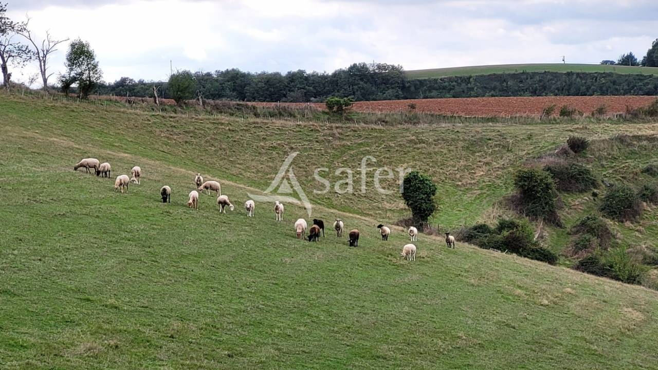 Ander plattelands vastgoed Koop tarn