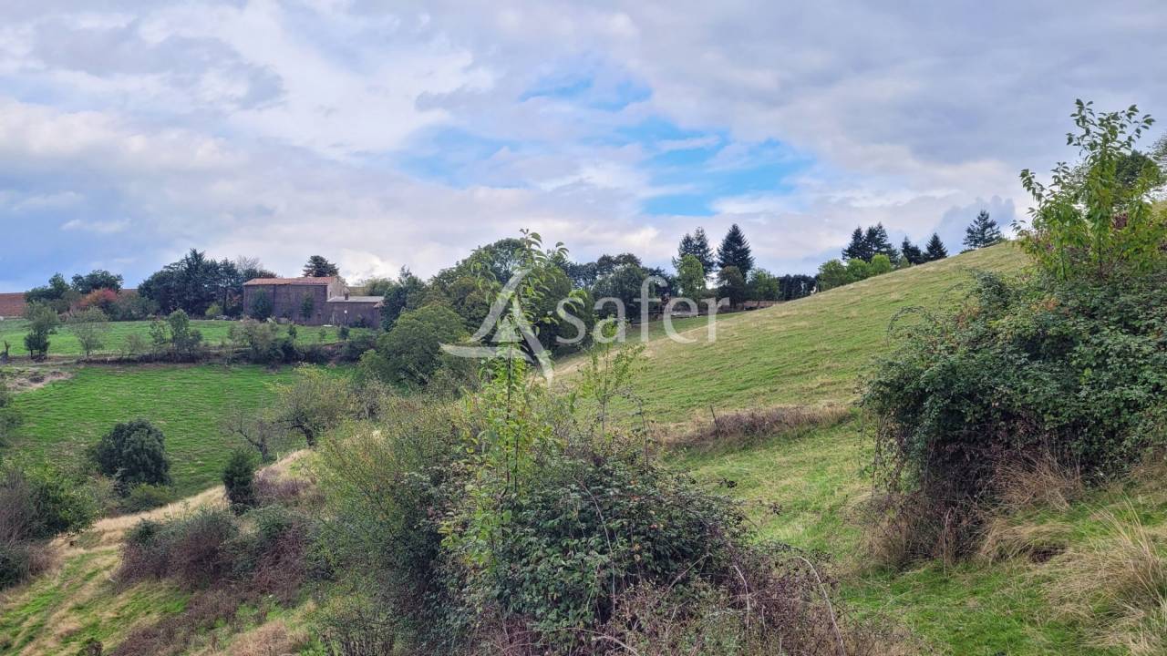 Ander plattelands vastgoed Koop tarn