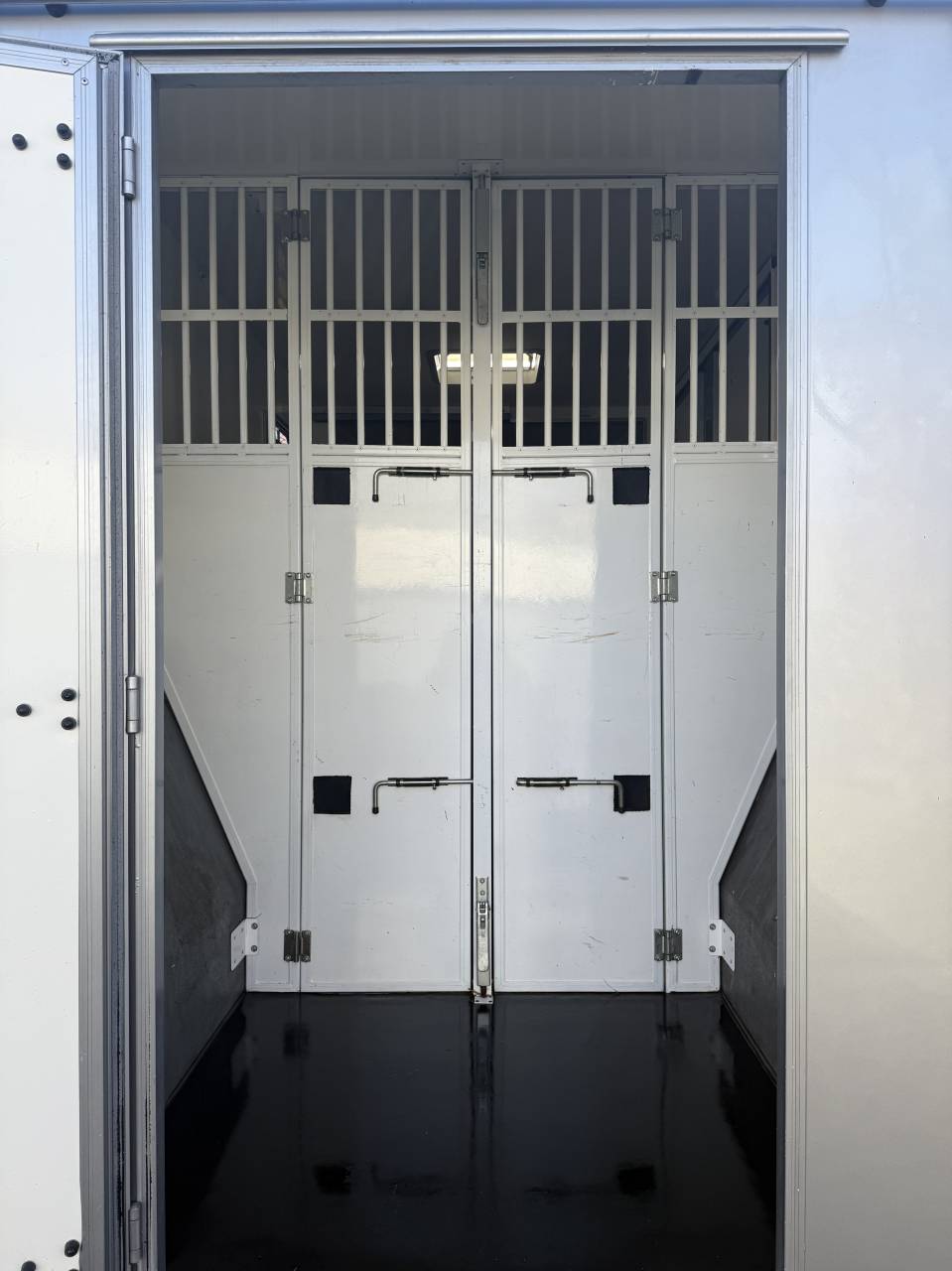 Kleine paardenvrachtwagen (B rijbewijs) Renault LESLY HORSE 2018 Tweedehands