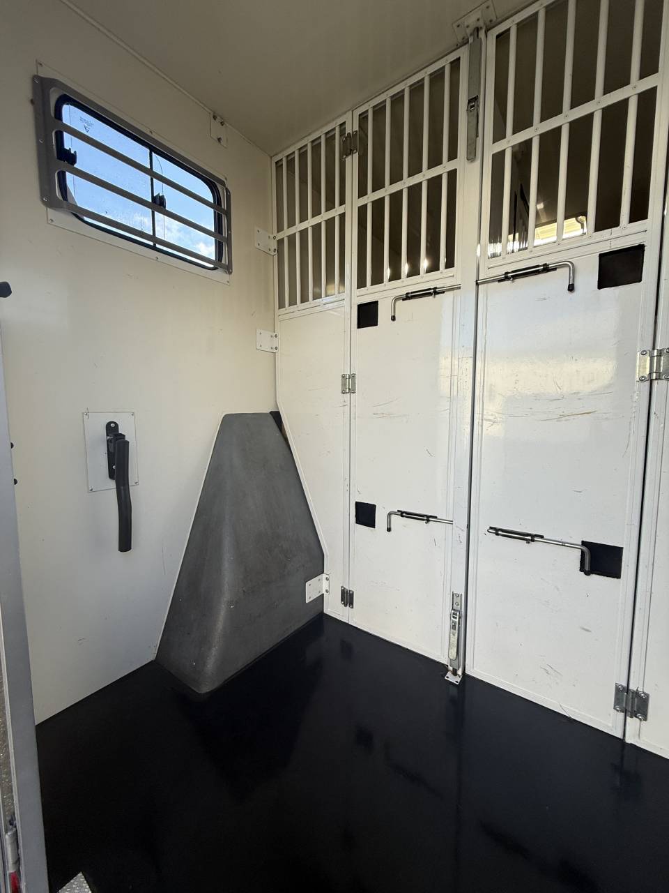 Kleine paardenvrachtwagen (B rijbewijs) Renault LESLY HORSE 2018 Tweedehands