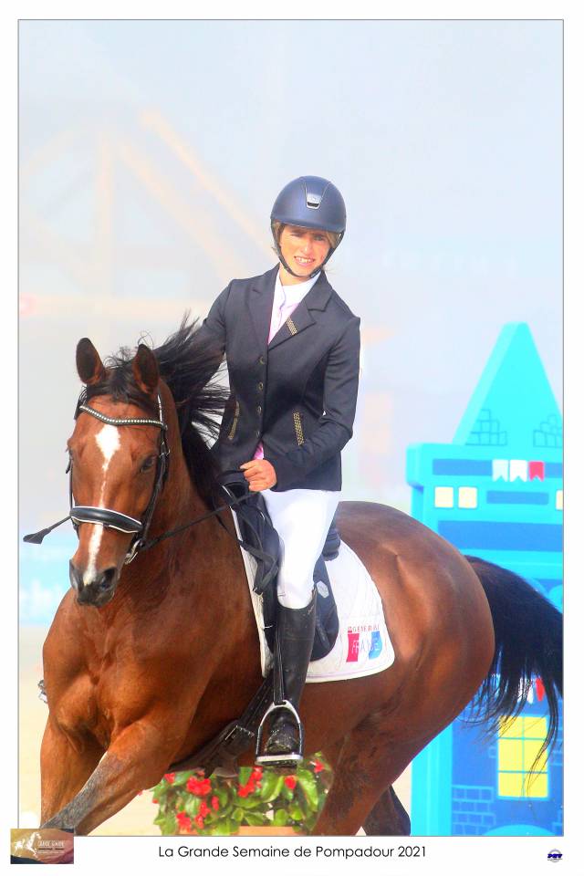 Ruin Selle Français Te koop 2015 Donker bruin / bai ,  Adzaro de l abbaye