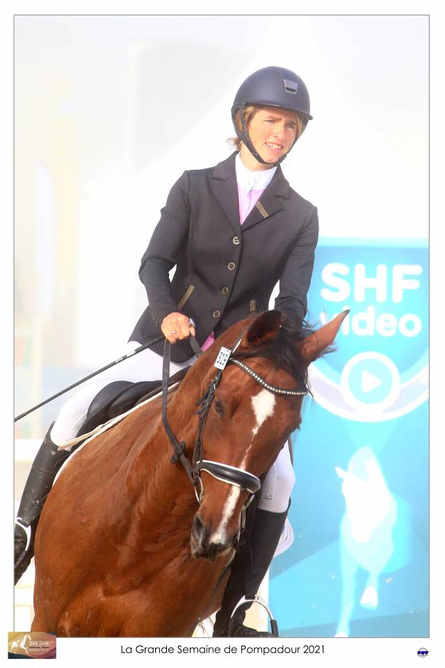 Ruin Selle Français Te koop 2015 Donker bruin / bai ,  Adzaro de l abbaye