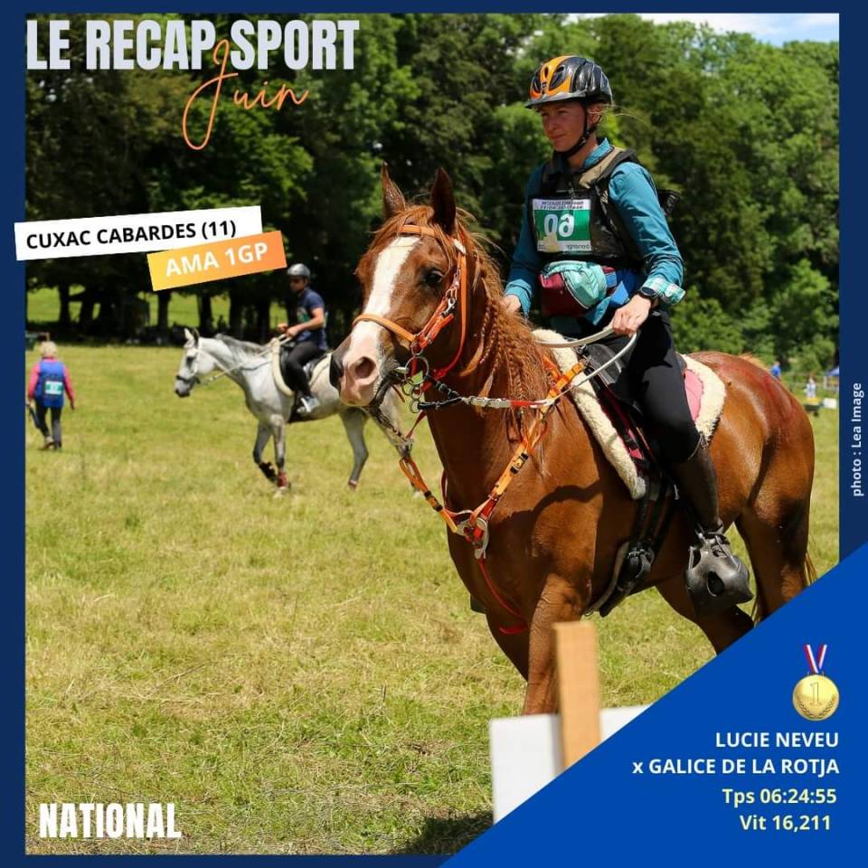 Merrie Arabier Te koop 2016 Vos ,  Valmysic de la rotja