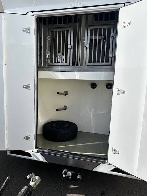 Kleine paardenvrachtwagen (B rijbewijs) Renault  2020 Tweedehands