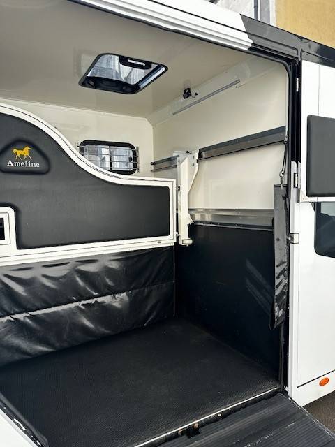 Kleine paardenvrachtwagen (B rijbewijs) Renault  2020 Tweedehands