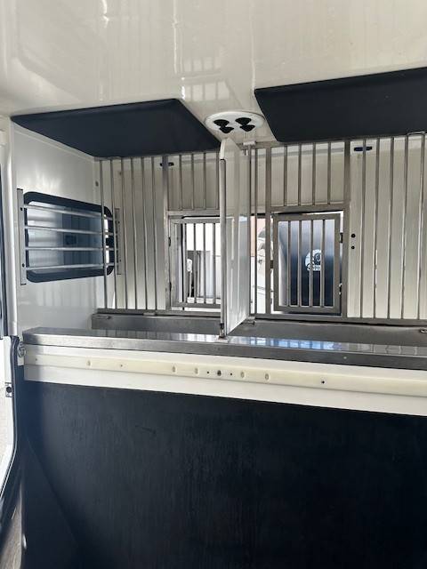 Kleine paardenvrachtwagen (B rijbewijs) Renault  2020 Tweedehands