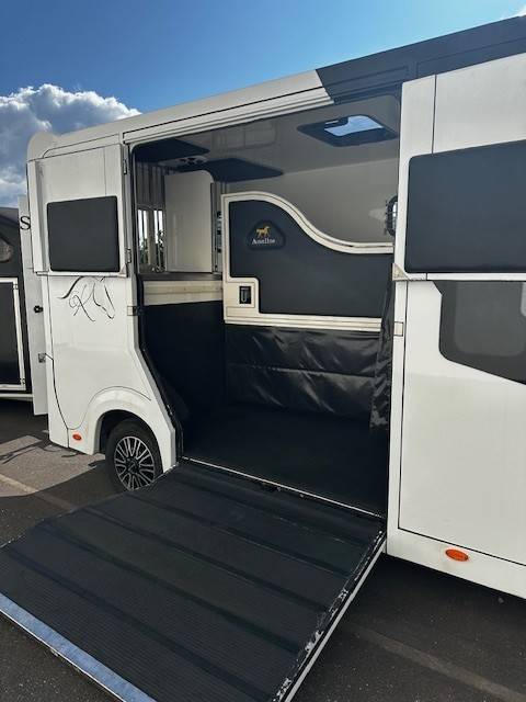 Kleine paardenvrachtwagen (B rijbewijs) Renault  2020 Tweedehands