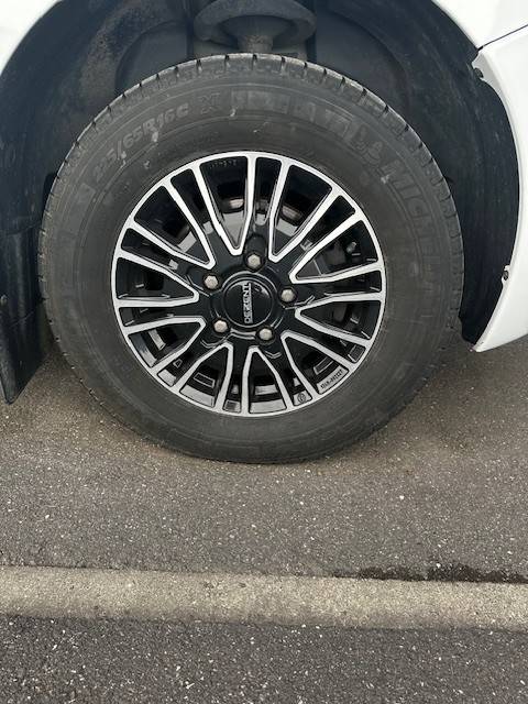 Kleine paardenvrachtwagen (B rijbewijs) Renault  2020 Tweedehands