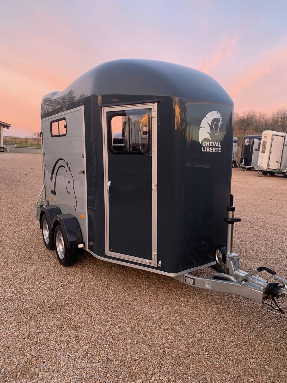 Paardentrailers Cheval Liberté GOLD 3 2 Paarden 2021 Tweedehands