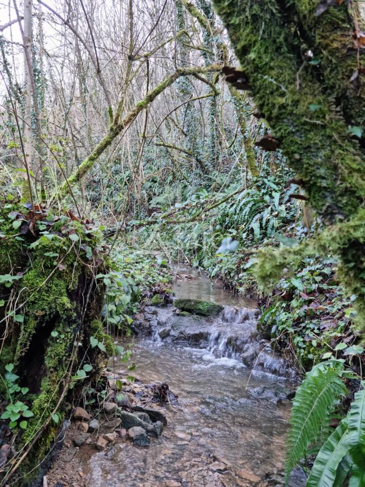 Groente exploitatie Koop Lot