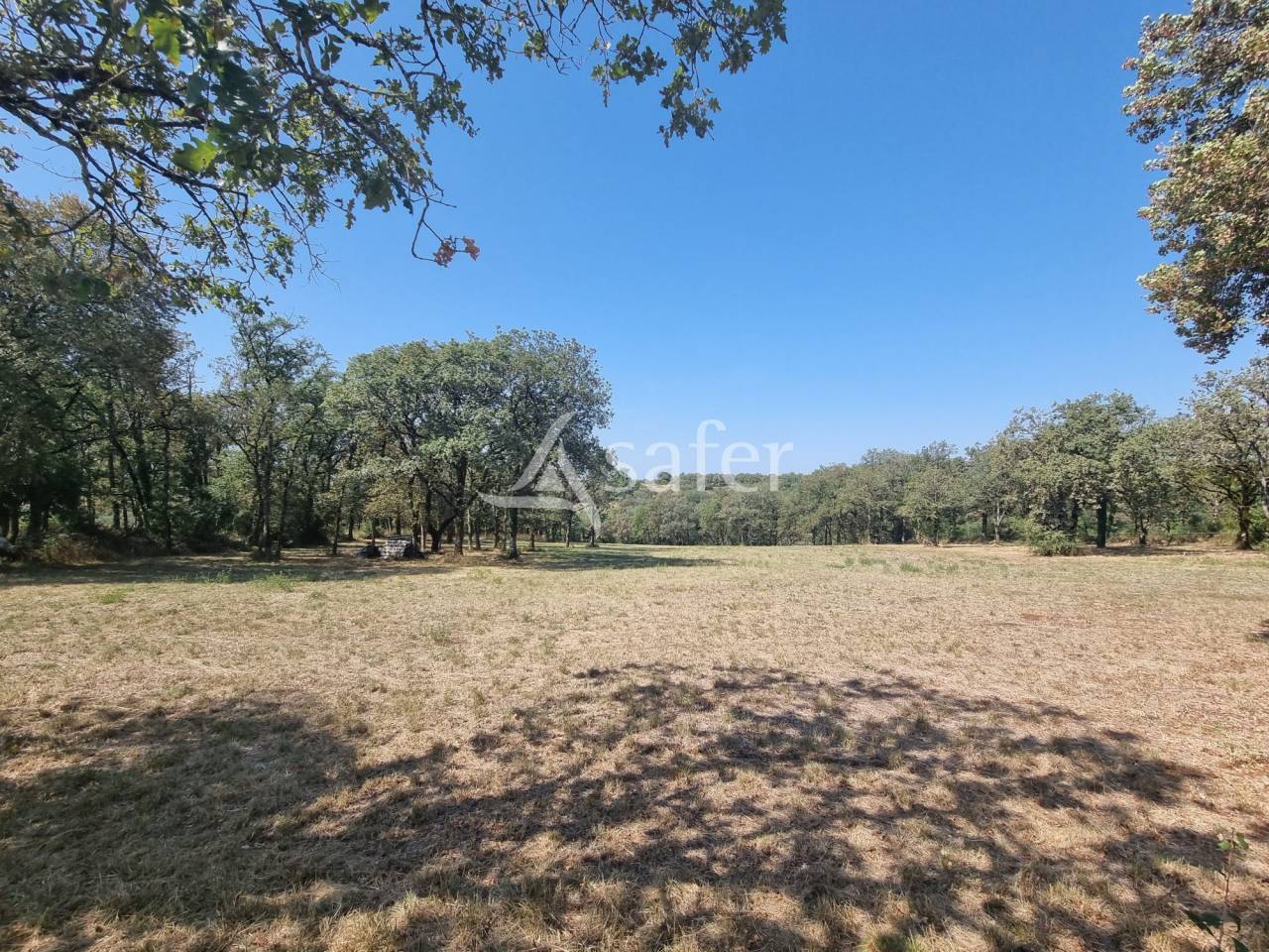 Landbouw bedrijf Koop Lot