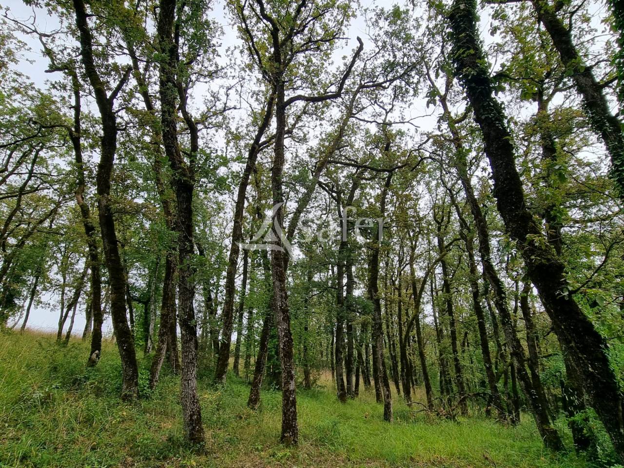 Landbouw bedrijf Koop Lot