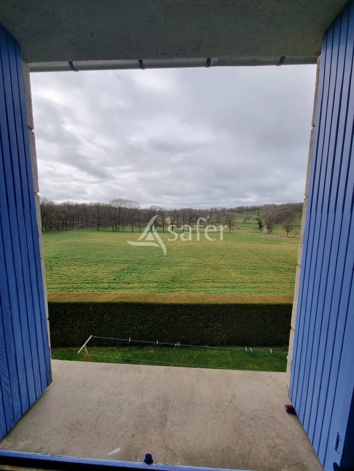 Schapen exploitatie Koop Lot