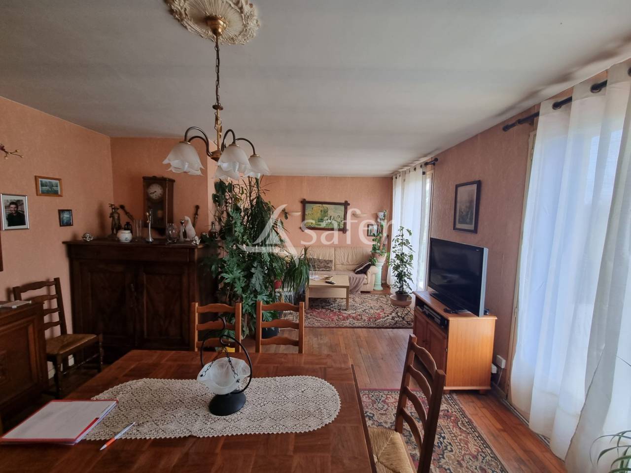 Schapen exploitatie Koop Lot