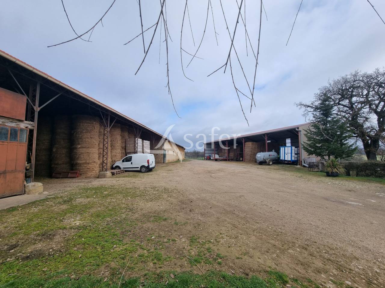 Schapen exploitatie Koop Lot