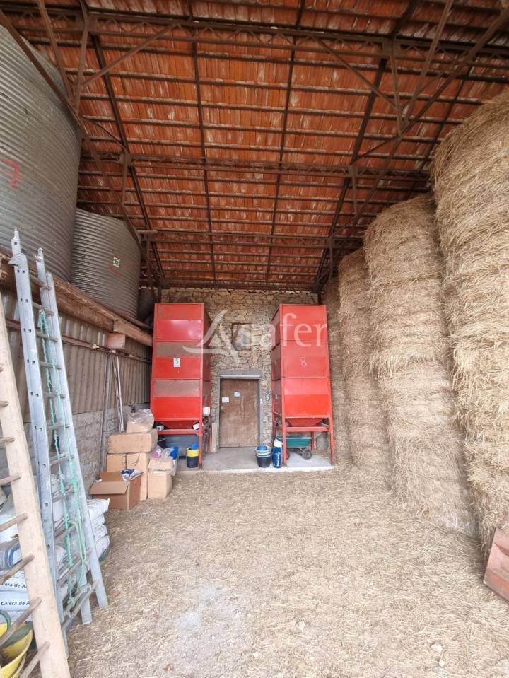 Schapen exploitatie Koop Lot