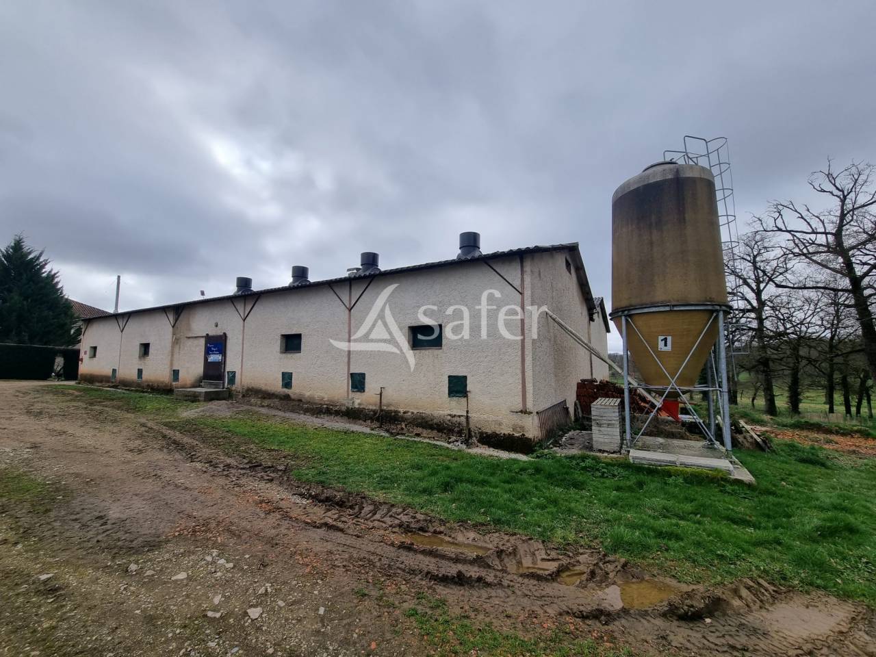 Schapen exploitatie Koop Lot