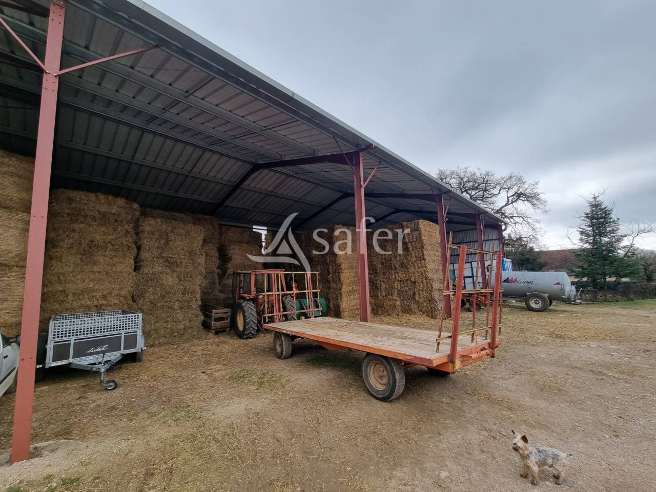 Schapen exploitatie Koop Lot