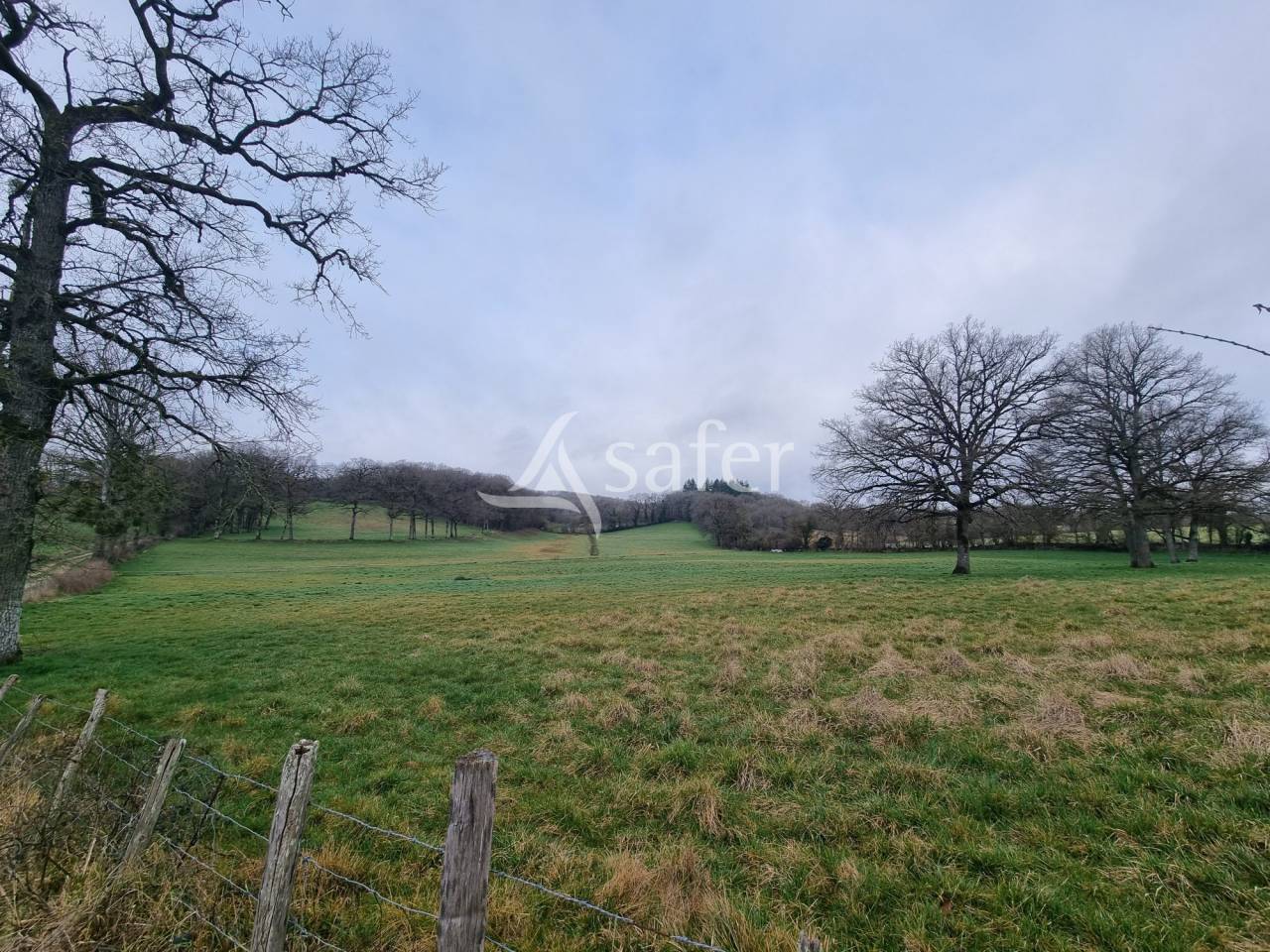 Schapen exploitatie Koop Lot