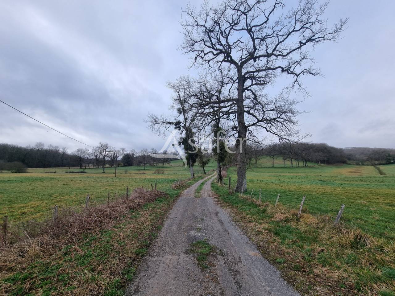 Schapen exploitatie Koop Lot