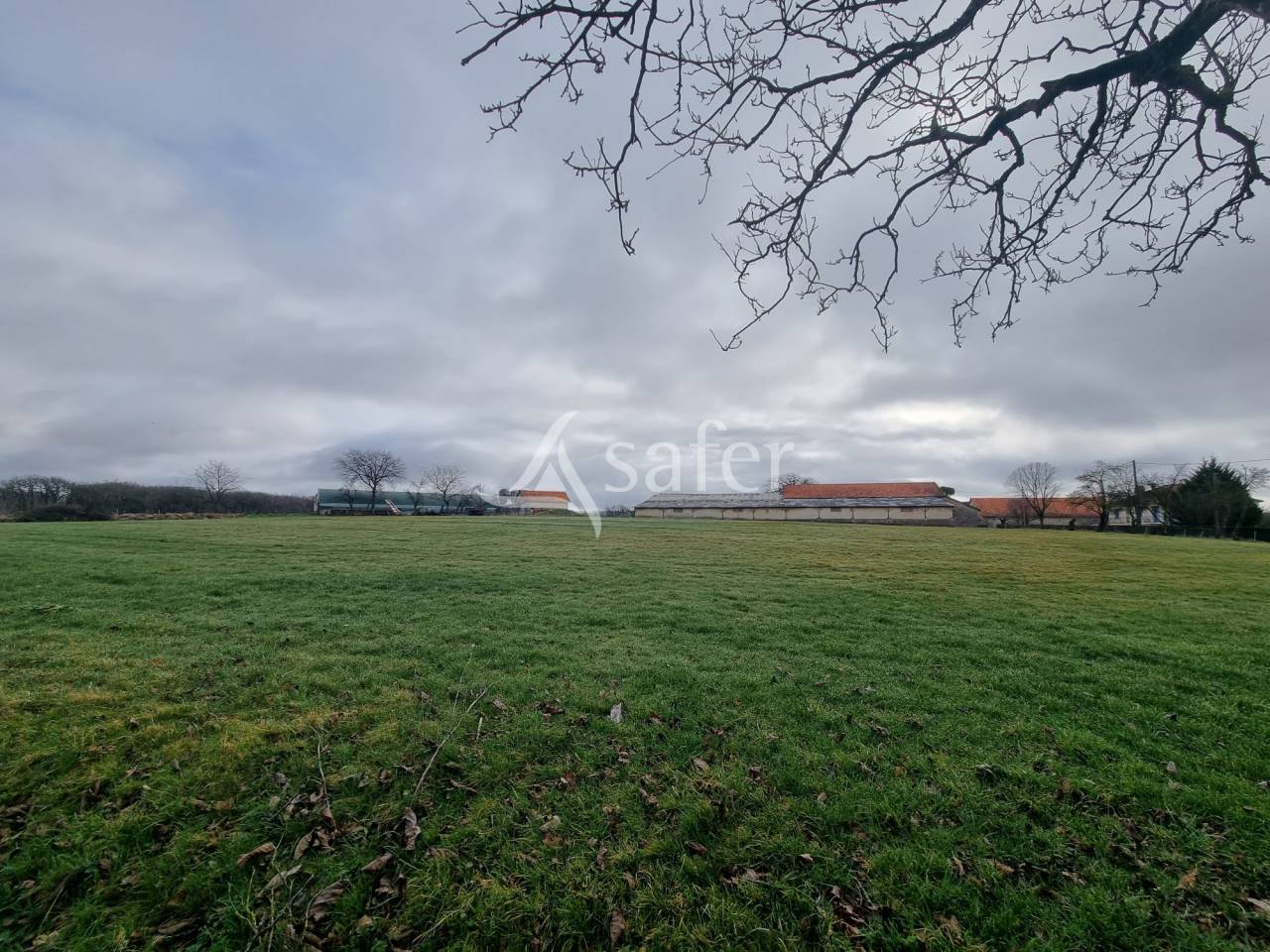 Schapen exploitatie Koop Lot