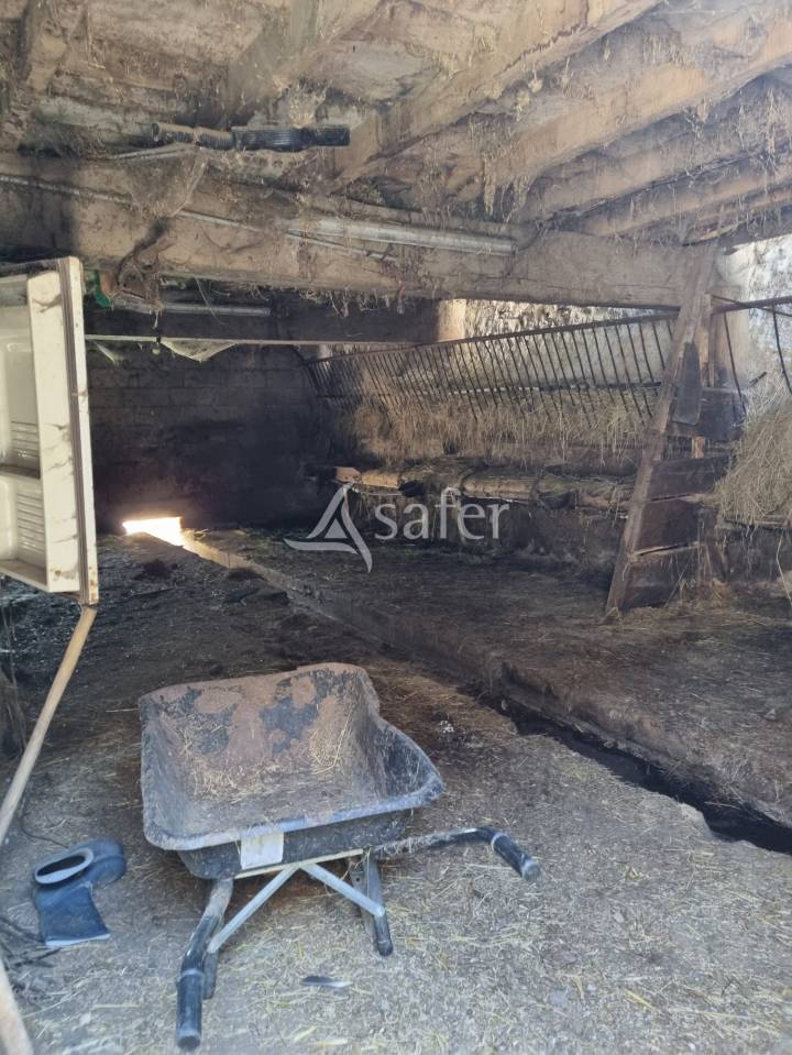 Landbouw bedrijf Koop Ariège