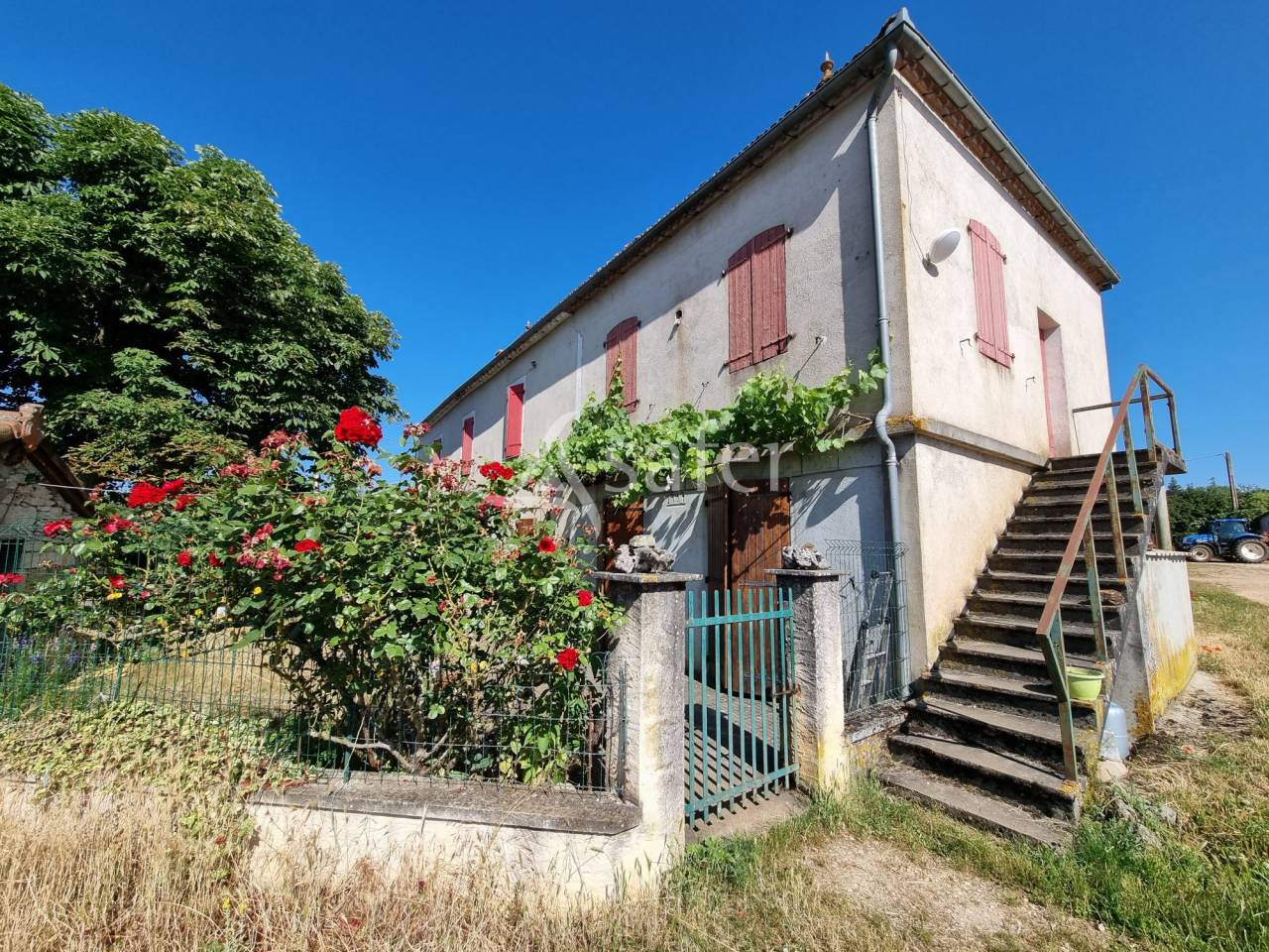 Schapen exploitatie Koop Lot