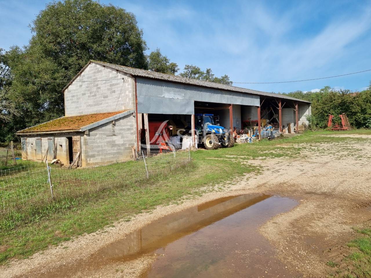 Schapen exploitatie Koop Lot