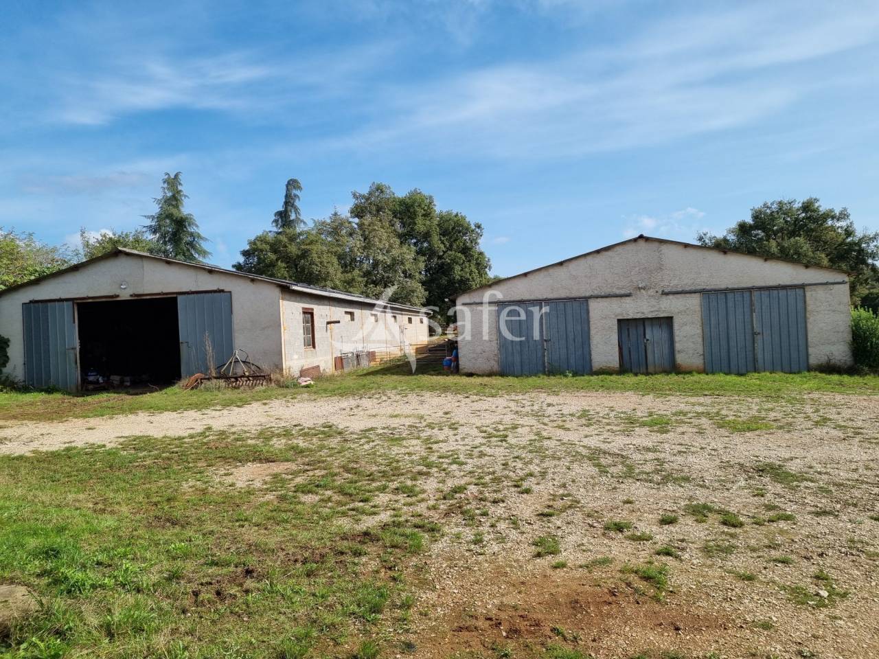 Schapen exploitatie Koop Lot