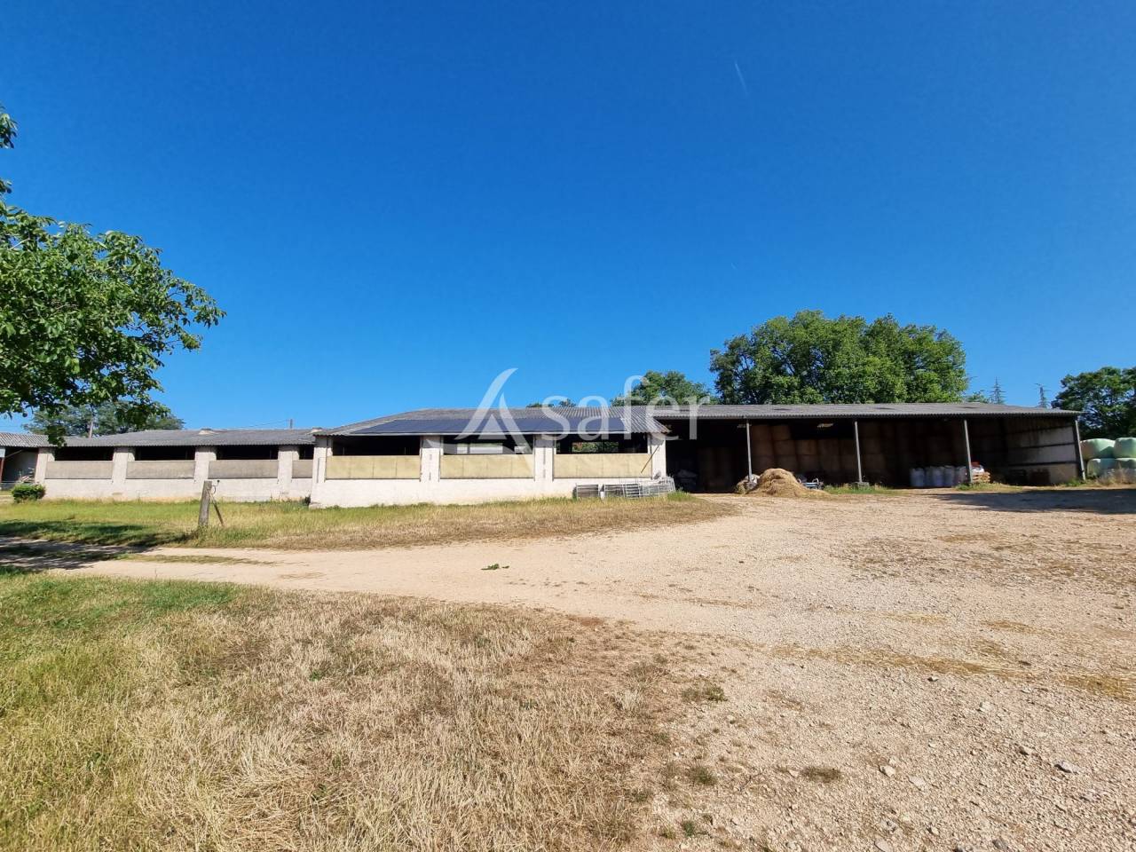 Schapen exploitatie Koop Lot