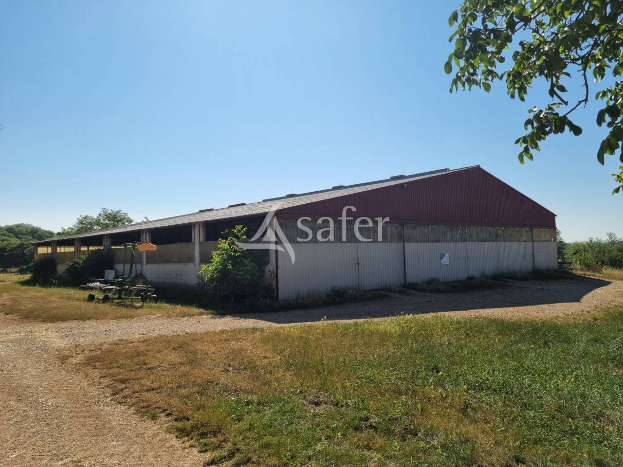 Schapen exploitatie Koop Lot