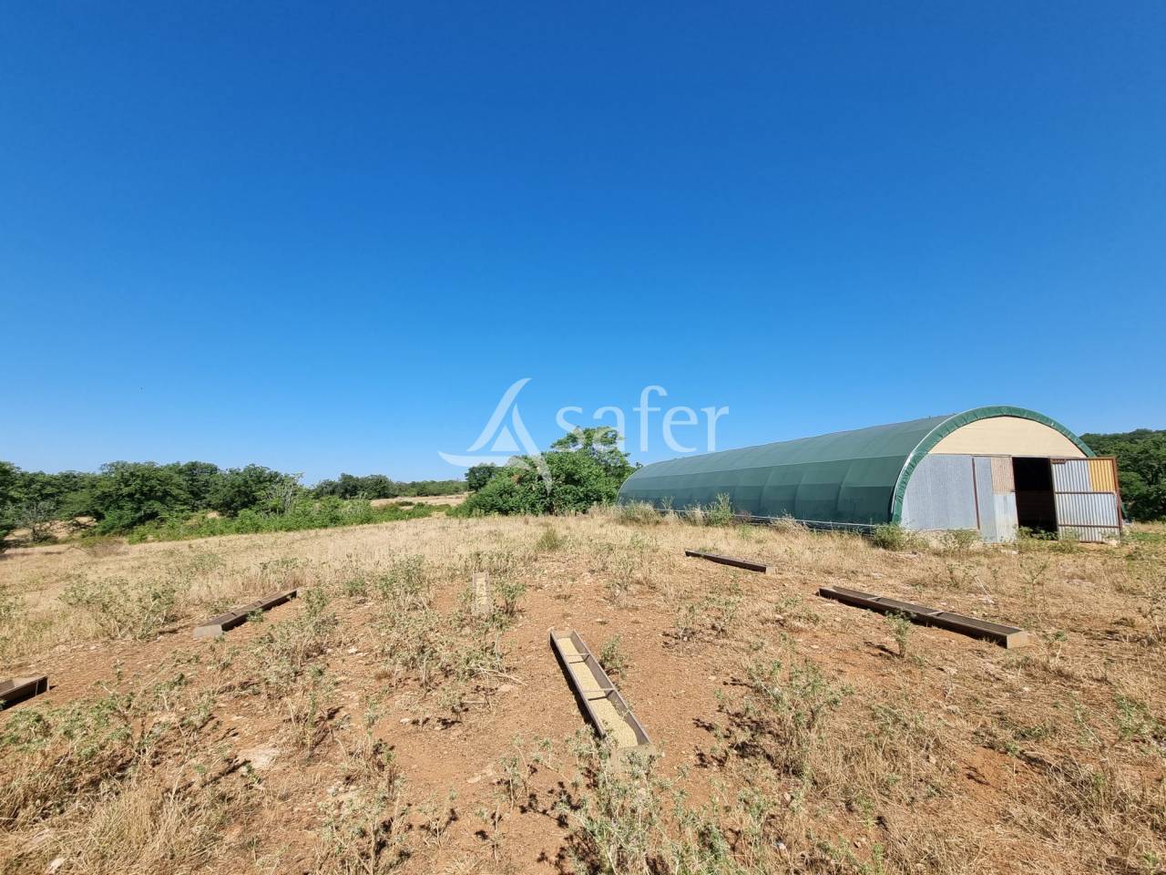 Schapen exploitatie Koop Lot