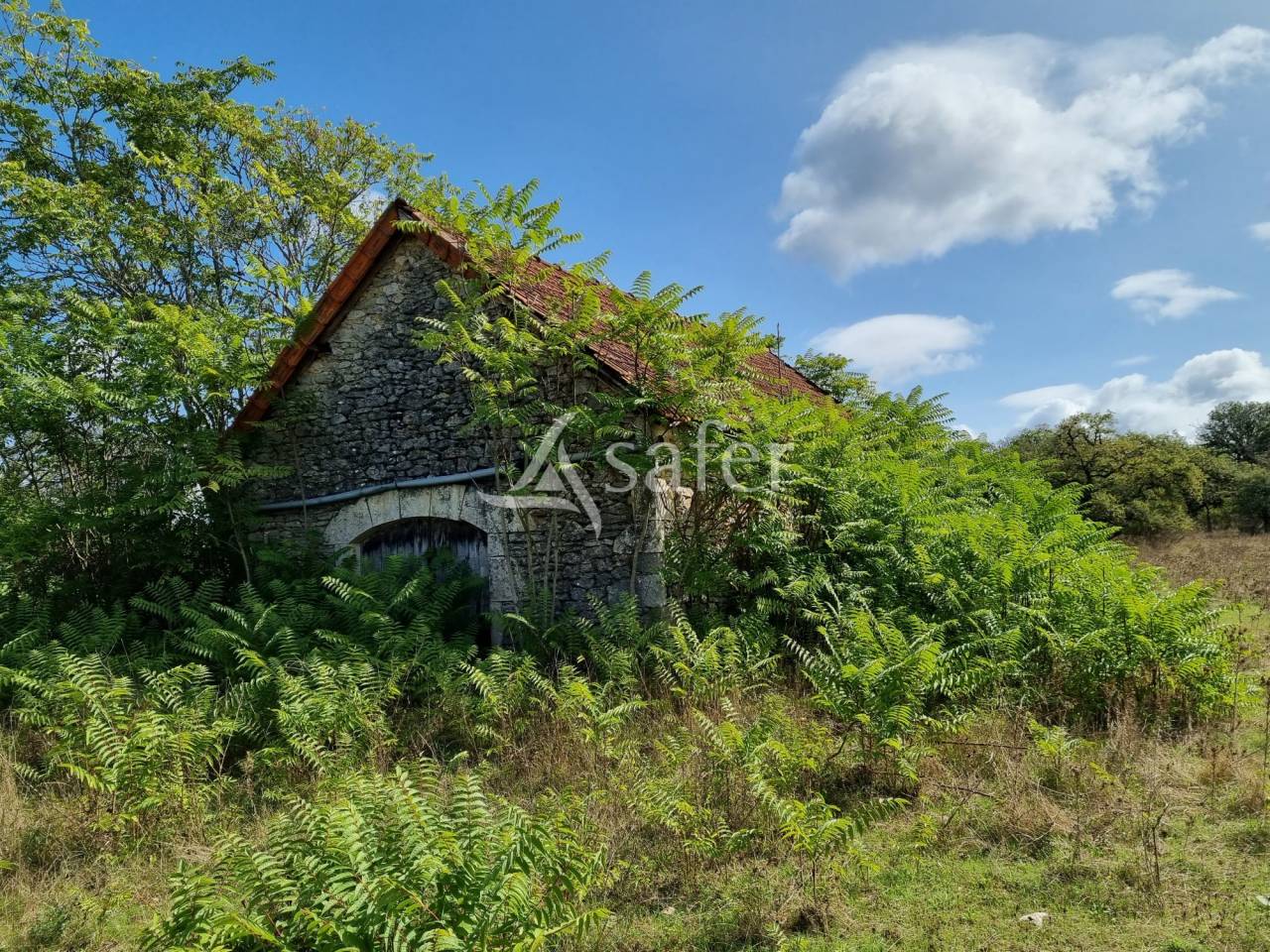 Schapen exploitatie Koop Lot