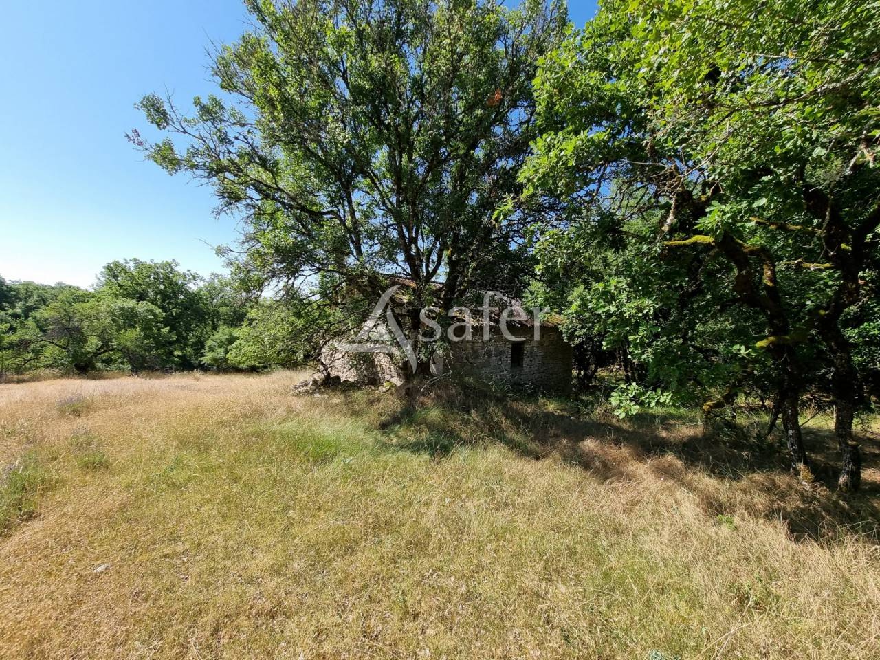 Schapen exploitatie Koop Lot