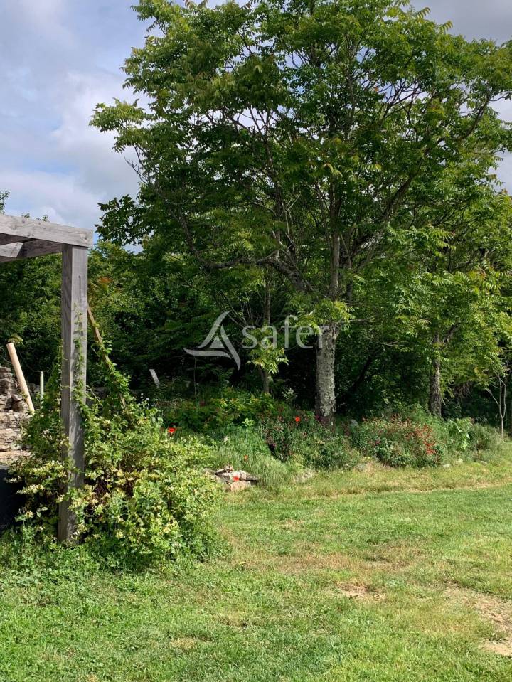 Landbouw bedrijf Koop Lot