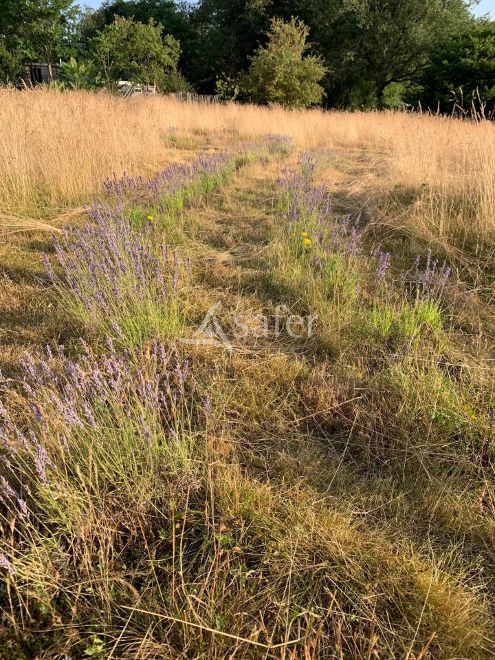 Landbouw bedrijf Koop Lot