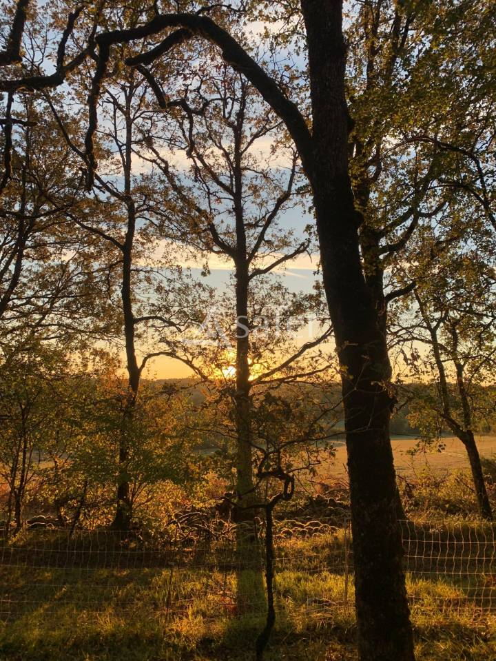 Landbouw bedrijf Koop Lot