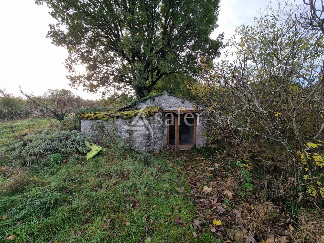 Landbouw bedrijf Koop Lot