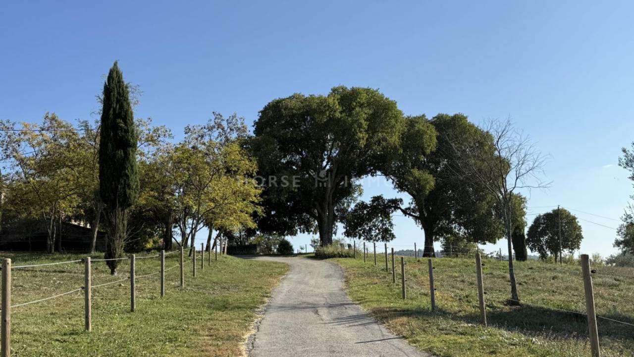 Hippisch vastgoed Koop Gard