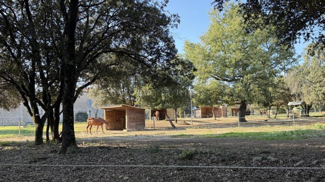 Hippisch vastgoed Koop Gard