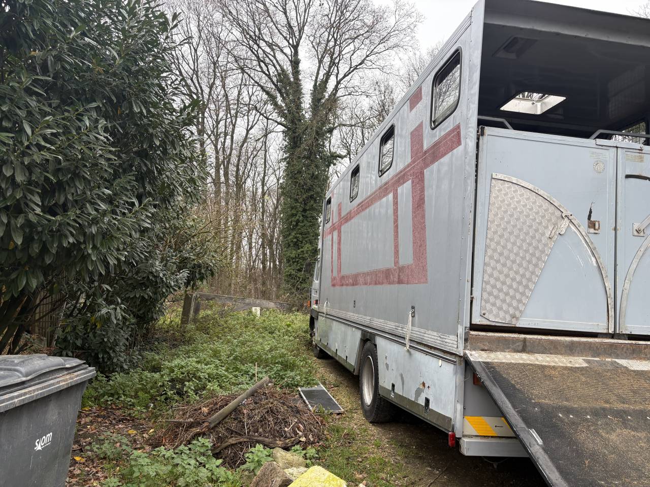 Zware paardenvrachtwagen (groot rijbewijs) Renault Mildium 1985 Tweedehands