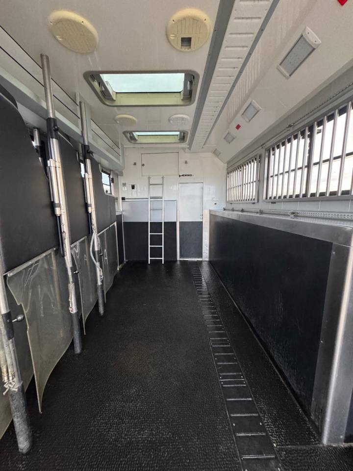 Zware paardenvrachtwagen (groot rijbewijs) Volvo STX 2018 Tweedehands