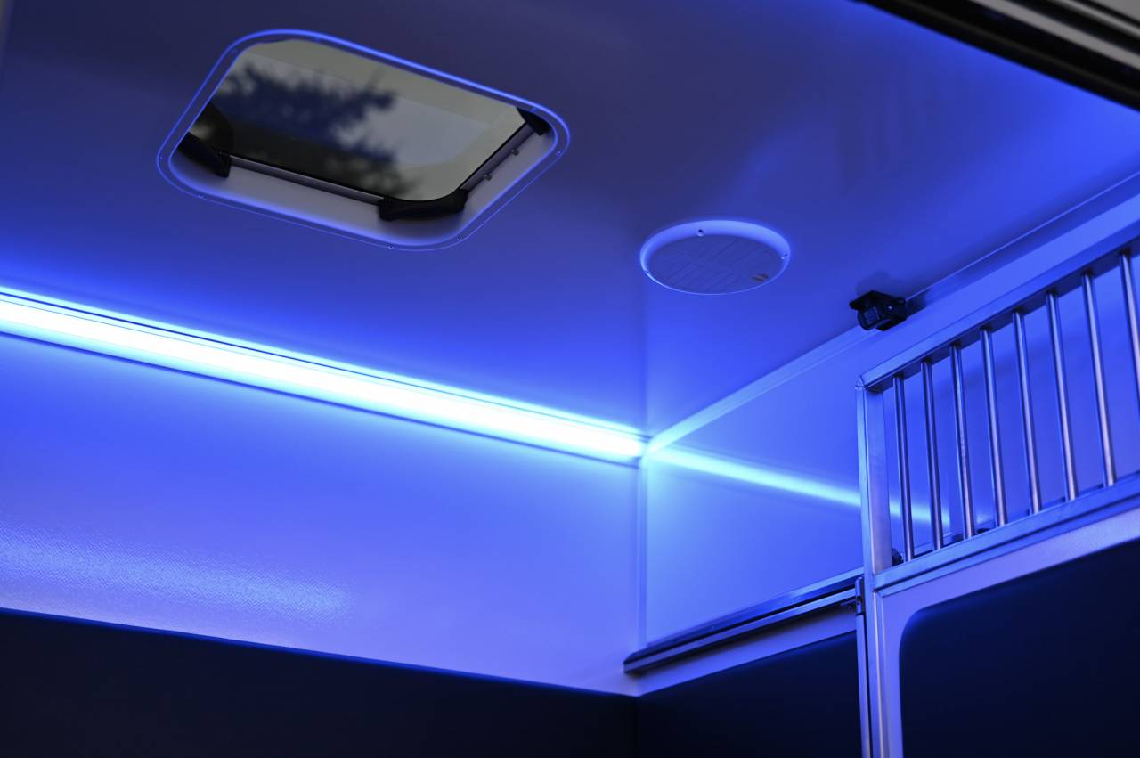 Kleine paardenvrachtwagen (B rijbewijs) Krismar Renault Master 2025 Nieuw