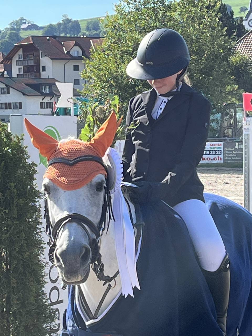 Merrie Andere pony rassen Te koop 2016 Schimmel