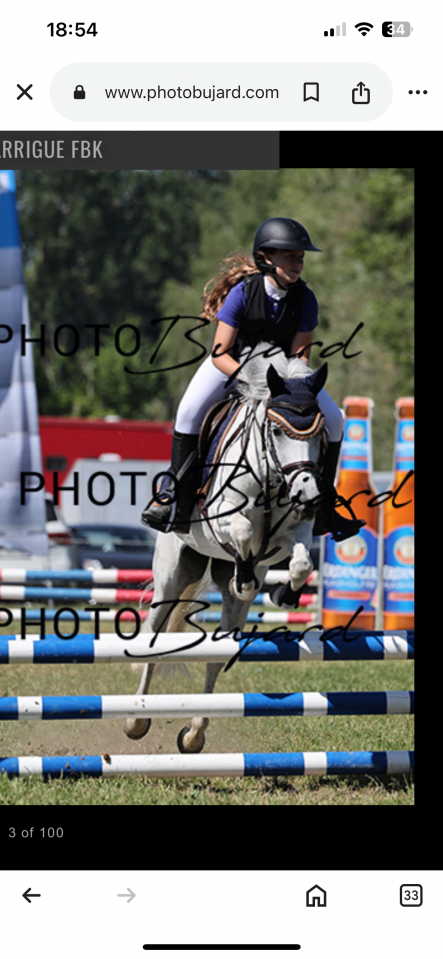 Merrie Andere pony rassen Te koop 2016 Schimmel