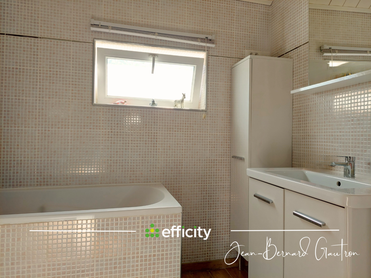 Hippisch vastgoed Koop Côte d'Armor