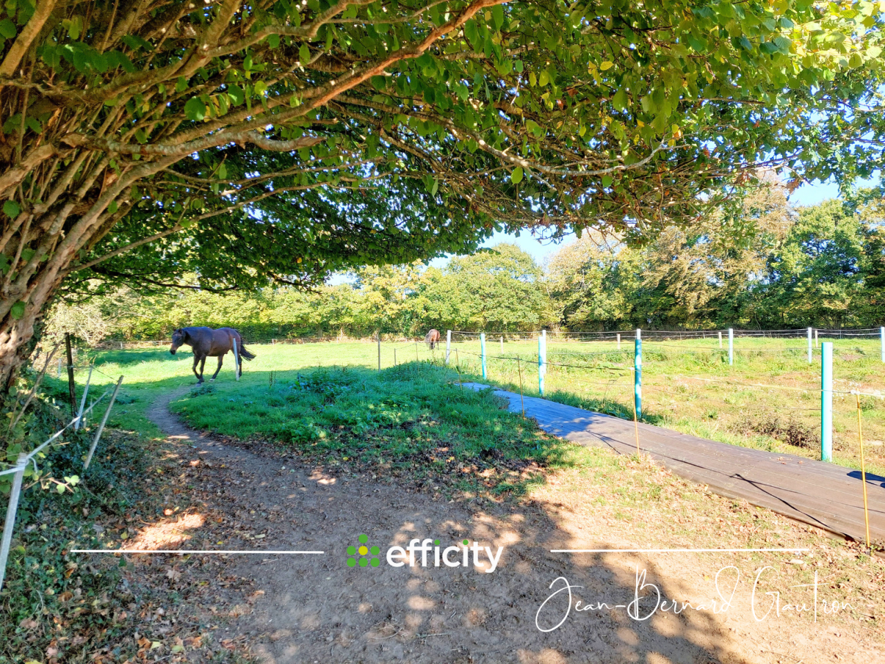 Hippisch vastgoed Koop Côte d'Armor