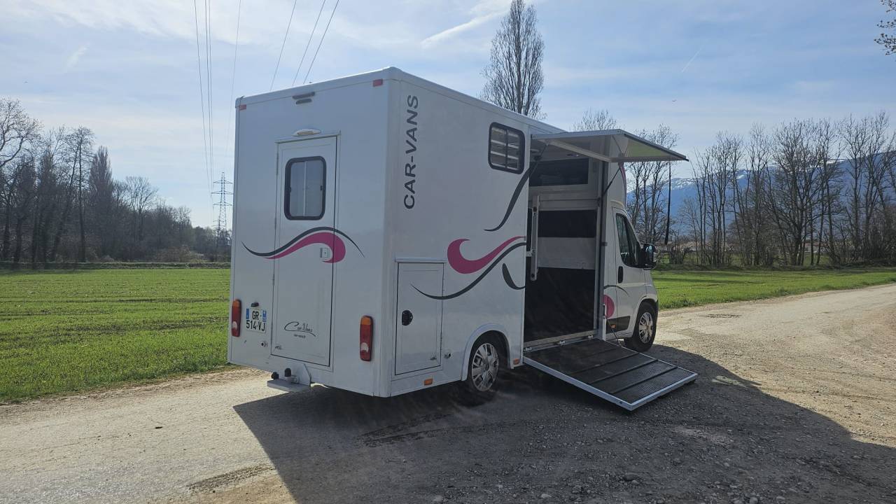 Kleine paardenvrachtwagen (B rijbewijs) Fiat  Ducato 2,2 Diesel  180 chevaux 2023 Tweedehands